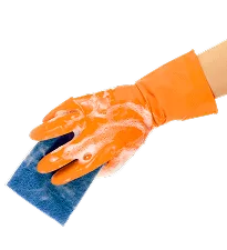 Discover the Best Cleaning Services for Your Home - 蜂鸟电竞